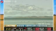 <em>青海省</em>玛多县过度放牧破坏<em>生态</em>平衡