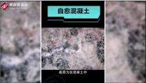 荷兰生物学家发明出可自愈混凝土，提高了混凝土的使用寿命
