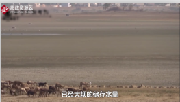 为印度孟买港提供水资源的湖泊和大坝储存严重不足