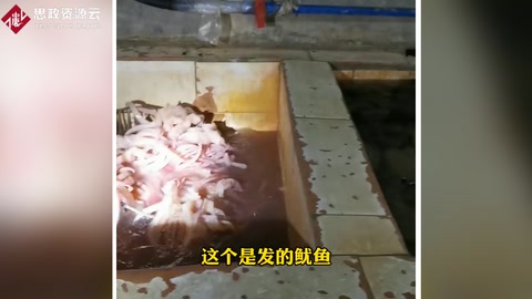 “黑<em>作坊</em>”毛肚鸭肠现场触目惊心