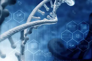 <em>课程标准</em>：生物制药技术<em>专业</em>《GMP实务》<em>课程标准</em>