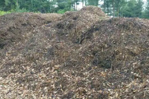 腐殖土—不良的公路用土