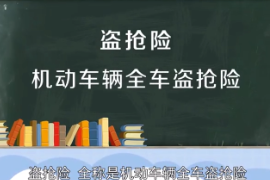 机动车辆全车盗抢险