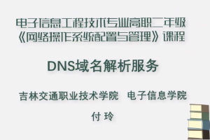 <em>DNS</em><em>域名解析</em>服务