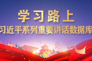 习近平同葡萄牙总统德索萨通电话