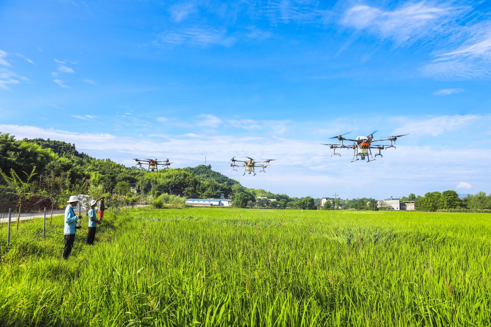 <em>无人机</em>成“助农神器” 带来农业生产幸福感