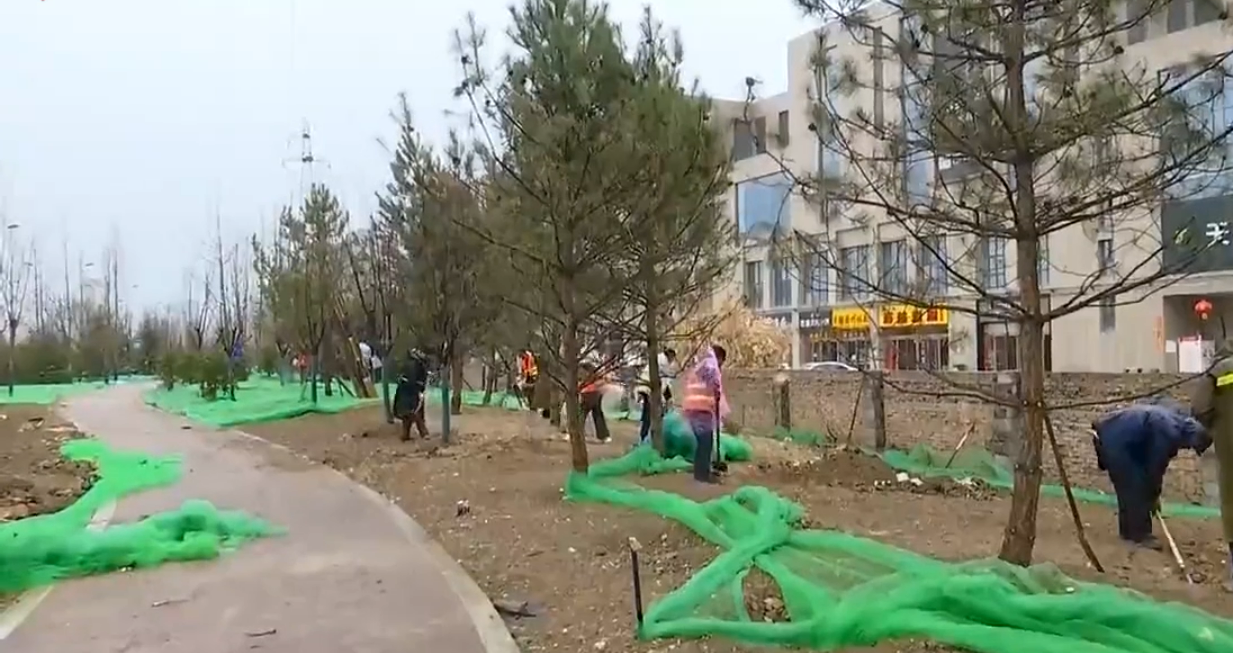 植树增绿正当时 <em>提升</em>景观迎全运
