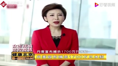 丹麦宣布捕杀1700万只水貂，因水貂养殖场出现变异新冠病毒！