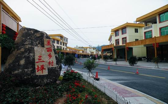 高效农业型模式一一福建省漳州市平和县三坪村