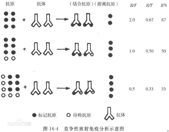 放射免疫分析法概述