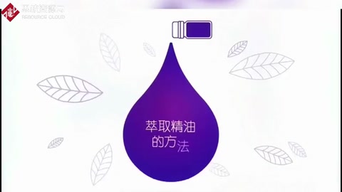 萃取精油的方法有哪些呢？你不一定知道！