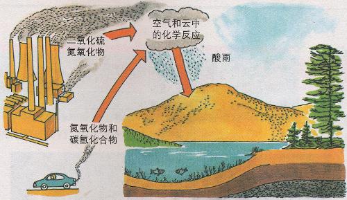 酸雨的形成及危害