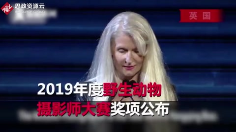 《生死对决》“影帝”土拨鼠成表情包 但故事的结局很残酷