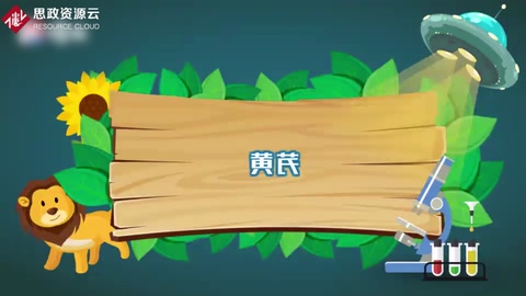 一分钟了解黄芪