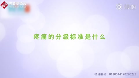 疼痛<em>的</em><em>分级</em>标准