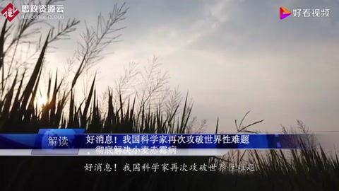 好消息！我国科学攻克世界性难题，彻底解决<em>小麦</em>赤霉病