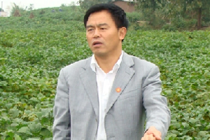 杨文钰教授——率领团队研发的玉米、大豆间作新农艺被写进了2020年中央1号文件