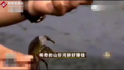 90后大学生回农村零基础养殖<em>螃蟹</em>