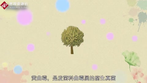 原来黄曲霉长这样