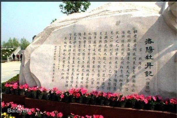 洛阳牡丹<em>记</em>