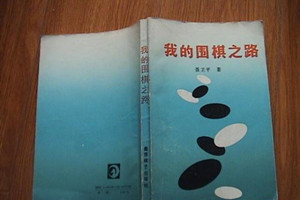 我<em>的</em>围棋之路