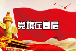 奋斗百年路 启航新征程·党旗在基层一线高高飘扬丨坚持系统建设整体建设 奋力开创城市基层党建引领基层治理新局面——党的十八大以来城市基层党建工作综述