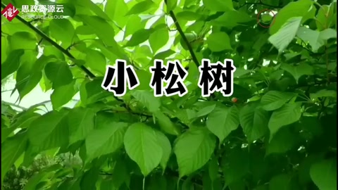 <em>儿童</em><em>歌曲</em>《小松树》