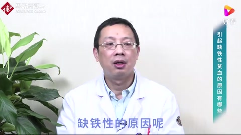 引起缺铁性贫血的原因有<em>哪些</em>