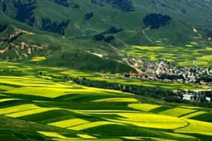 <em>通</em><em>识</em><em>课</em>《园林工程技术—园林<em>花卉</em>—项目5：<em>花卉</em>的<em>栽培</em><em>与</em>管理》<em>课程</em><em>思</em><em>政</em>案例