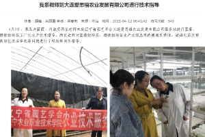 科技服务--辽宁省园艺学会<em>技术</em>服务<em>团队</em>到大连爱思福农业发展有限公司服务站开展<em>技术</em>服务