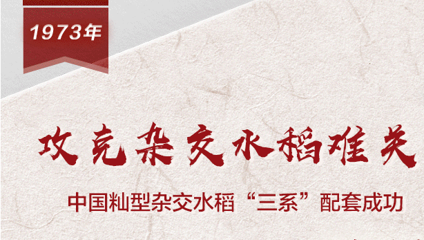 【百个瞬间说百年】1973，<em>攻克</em>杂交水稻难关