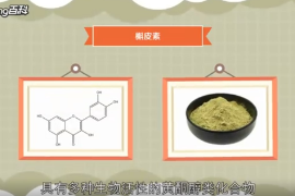 槲皮素：具有多种生物活性<em>的</em>黄酮醇类化合物