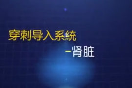 <em>经</em>皮穿刺肾造瘘