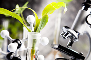 种子生产与经营专业：《植物生理学— 植物的水分代谢》课程思政案例