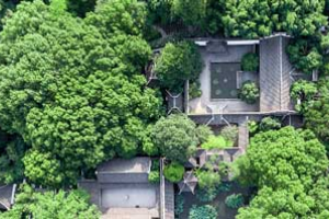 国家林业和草原局 农业农村部 自然资源部 国家乡村振兴局关于印发《“十四五”乡村绿化美化行动方案》<em>的</em>通知