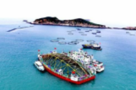 院士专家为<em>福建</em>“数字<em>海洋</em>”建言献策