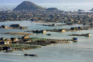 农业国际贸易高<em>质量</em>发展基地名单公布 <em>福建省</em>7家<em>企业</em>入选