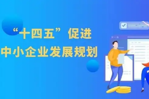 《“<em>十四五</em>”促进中小企业发展规划》解读