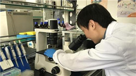 科技部印发《“<em>十四五</em>”技术要素市场专项<em>规划</em>》