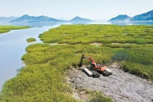 福建省印发互花米草除治攻坚行动方案