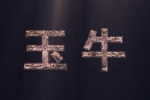 <em>中原</em>珍藏：玉牛