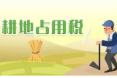 <em>授课</em><em>图片</em>—<em>土地</em><em>开发</em>（耕地占用税）