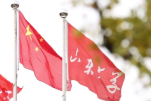 <em>微</em><em>课</em>：<em>汉语言</em><em>文学</em><em>专业</em>《现代汉语》