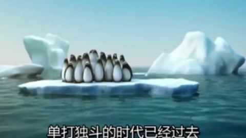 团队合作的力量
