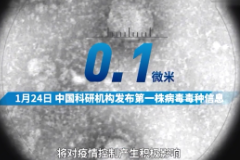 授课<em>视频</em>：刻度上的中国<em>战</em><em>疫</em>
