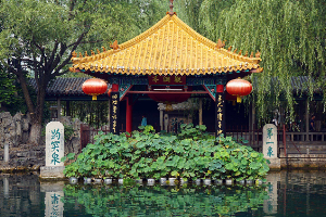 授课图片—趵突泉2