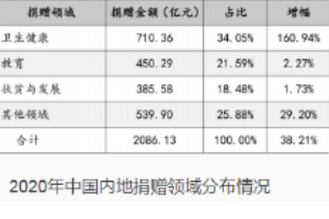 2020年中国内地捐赠领域分布情况