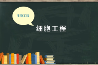 一分钟了解<em>细胞</em>工程