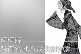 <em>一分钟</em><em>了解</em>碗碗腔