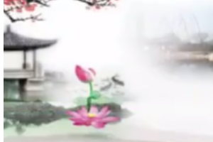 <em>微</em><em>课</em>：<em>戏曲</em><em>表演</em><em>专业</em>《绍兴地方戏—绍兴平湖调<em>表演</em><em>艺术</em>》